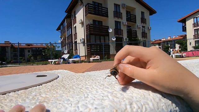 АНАПА 2021. РЕЗИДЕНЦИЯ УТРИШ КУПАЕМСЯ В БАССЕЙНЕ смотреть онлайн