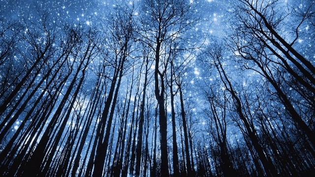 Высшее Я Бессмертный Вечный Дух  БОЖЕСТВЕННАЯ ТАЙНА Истинной природы авторAras_Белое животное