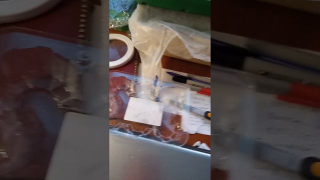 Семена начинают проклевываться. Что желательно сделать дальше! смотреть онлайн