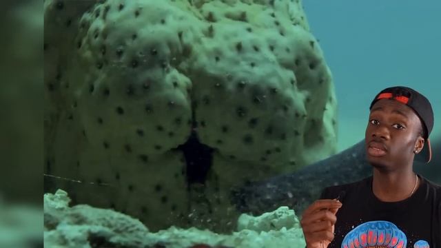 The Unspeakable Horrors of the Deep Sea (ft. LindsayNikole) смотреть онлайн