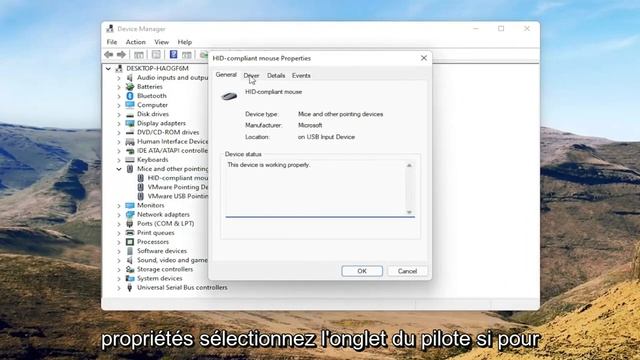 RÉSOLU: Curseur bloqué Windows 11, souris qui se fige/saute смотреть онлайн