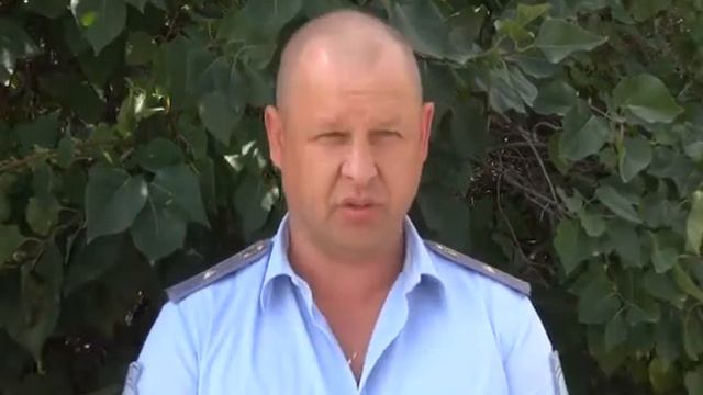 В Нагайбакском районе участились кражи скота смотреть онлайн
