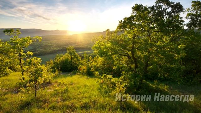 Невестка выселила свекровь, но она не учла одну деталь… смотреть онлайн