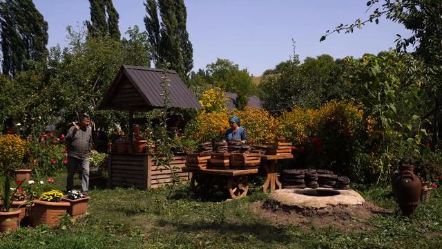 Kend Heyati Жизнь в деревне Long Term Prune Plums Preservation Without a Refrigerator 🍂 смотреть онлайн