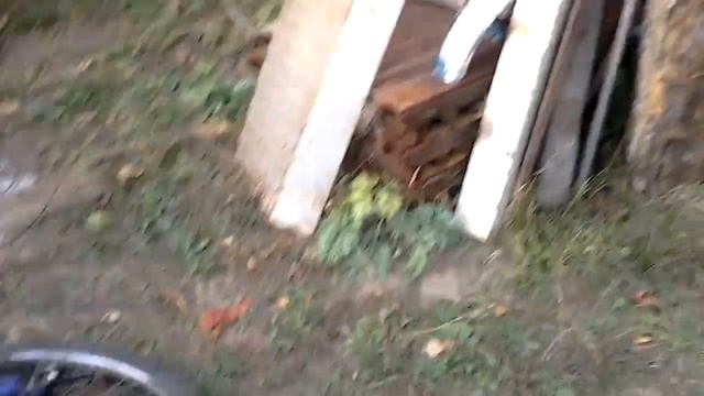 Алексеевна 5 смотреть онлайн