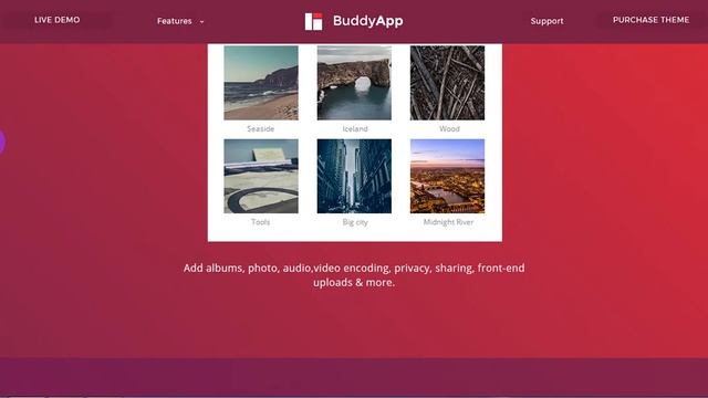 BuddyApp – Mobile First Community WordPress theme смотреть онлайн