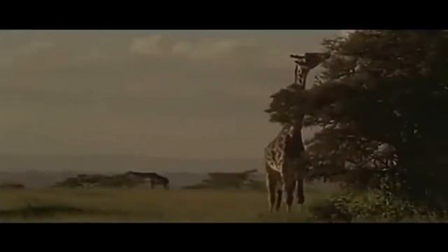 ДИНОЗАВРОВ НЕ БЫЛО на Земле! Обман на миллион лет смотреть онлайн