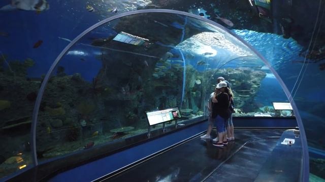 Владивосток Вольный ветер - Дидюля смотреть онлайн