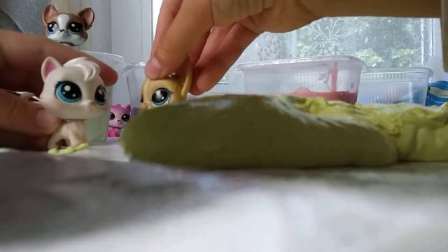 Цвета и животные 🐾 смотреть онлайн