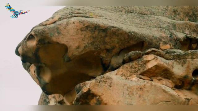 Краеведческий экскурс «Национальный природный парк». смотреть онлайн