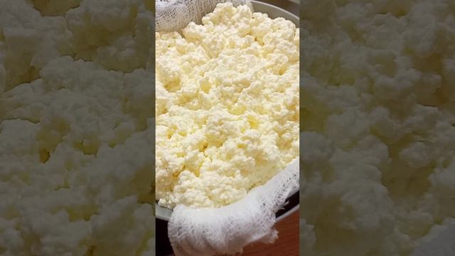 Домашний сыр