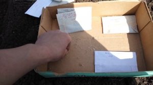 5 апреля. Сею лук чернушку.