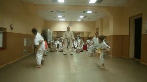 Показательные выступления. Каратэ киокушин. Ката.