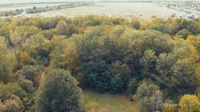 Михайловск СНИИСХ Дендрарий смотреть онлайн