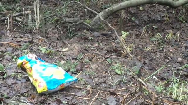 Здесь шли бои. Авторский фильм Марии Заболоцкой.