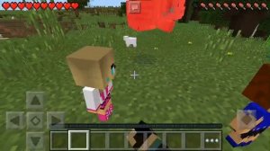 18+ девушки в майнкрафт