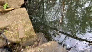 Жуткая Речка И Поисковый Магнит Обрадовали Находками меня