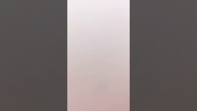 Как нарисовать дерево ? берёзу ? смотреть онлайн