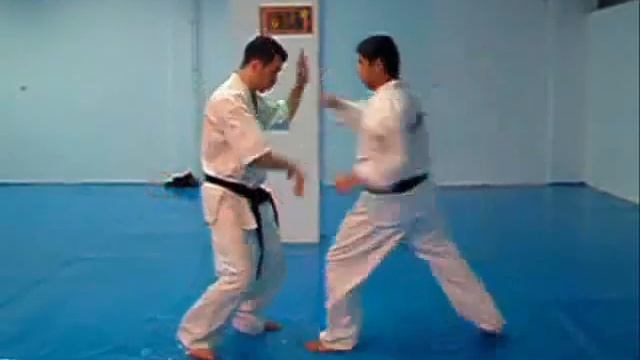 enshin karate смотреть онлайн