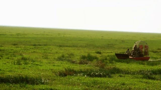 The Australian Water Buffalo Experience - Mark Peterson смотреть онлайн