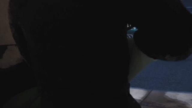 Gangster Spongebob: Kill Mr. Krabs [Original Animated Saga]