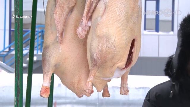 Ярмарка «Шадринский гусь» (2019-12-23) смотреть онлайн