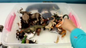 Huge Toy Zoo Wild Animals Collection - Learn Animal Names For Kids