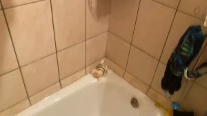 Как почистить замшевые кроссовки светлые