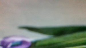 Я спешу, извините меня(Лунный свет над равниной рассеян,вдалеке ни села, ни огня,я сейчас(наброски)