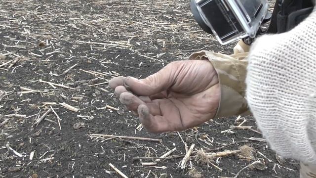 ОГО, 2000 ЛЕТ ОНИ ЖДАЛИ МЕНЯ ЗДЕСЬ! Не Могу Поверить Глазам. Когда Копаю, АЖ КРЫШУ СНОСИТ!!! смотреть онлайн