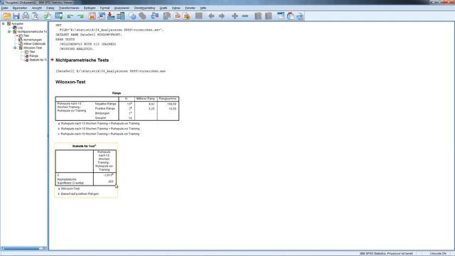 Wilcoxon-Test (Wilcoxon-Vorzeichen-Rang-Test) in SPSS durchführen - Daten analysieren in SPSS (52) смотреть онлайн