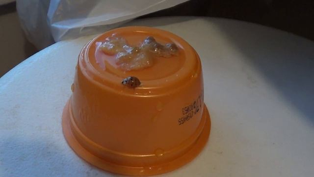 ОНИ уже все обнаружили смотреть онлайн