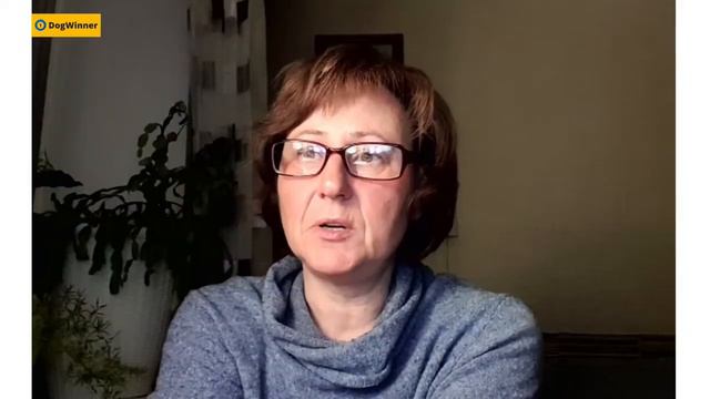 Старая собака конфликтует с молодыми. Что делать? «Вопрос-ответ» с кинологом Татьяной Шамановой смотреть онлайн