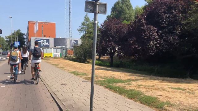 Amsterdam Scooter Ride смотреть онлайн