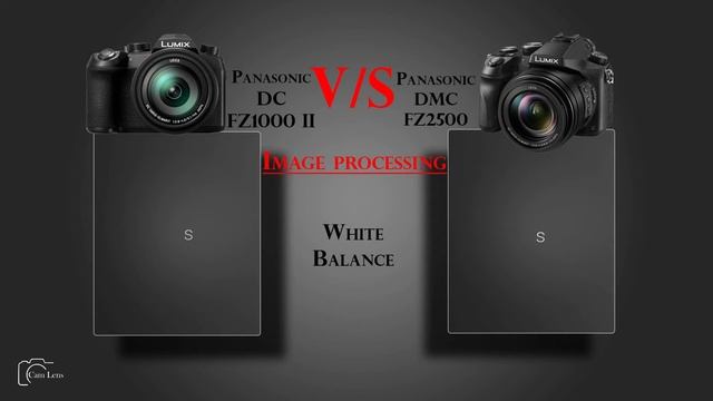 Panasonic Lumix DC FZ1000 II vs Panasonic DMC FZ2500 смотреть онлайн