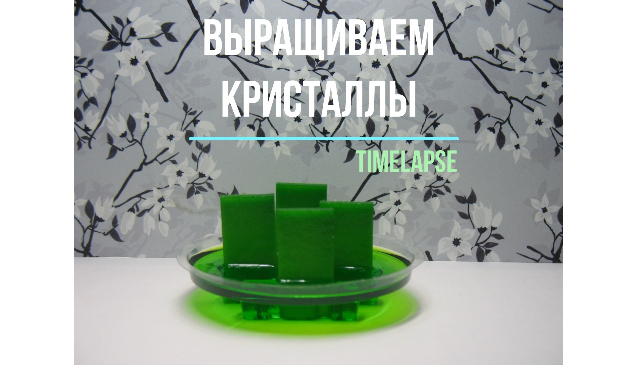 Выращиваем зелёные кристаллы timelapse таймлапс