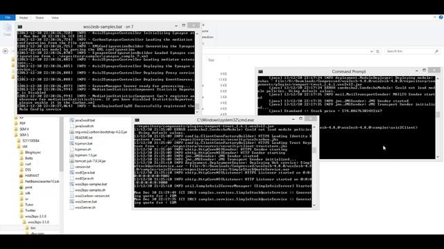 Sample 7 Introduction to Local Registry Entries and Using Schema Validation смотреть онлайн