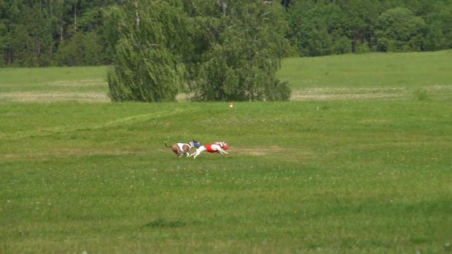 АСТ TCENNIY PRIZE EIRENA (к) и BAKARORO END ITUBORI THE BEST TCENNIY PRIZE (б) смотреть онлайн