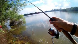 Рыбалка в Новосибирске. Щука на 2 кг. Бугринский мост, р.  Обь.