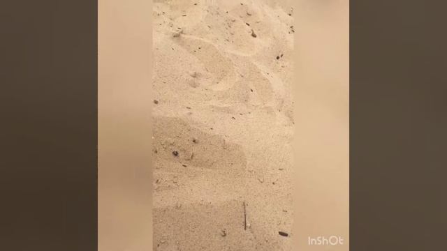 19.08 ✨ Дача || Волга ? VLOG ❤️ смотреть онлайн