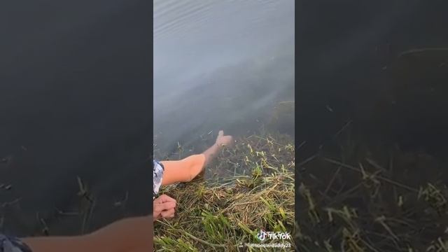 Как поймать рыбу на палец.? смотреть онлайн