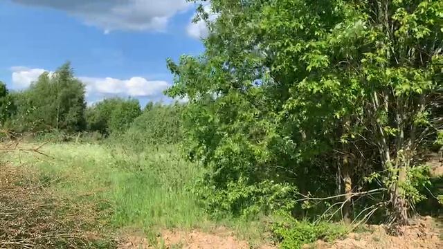 Загорье 1540 смотреть онлайн