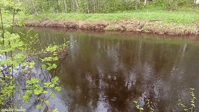 Голавль на спиннинг смотреть онлайн