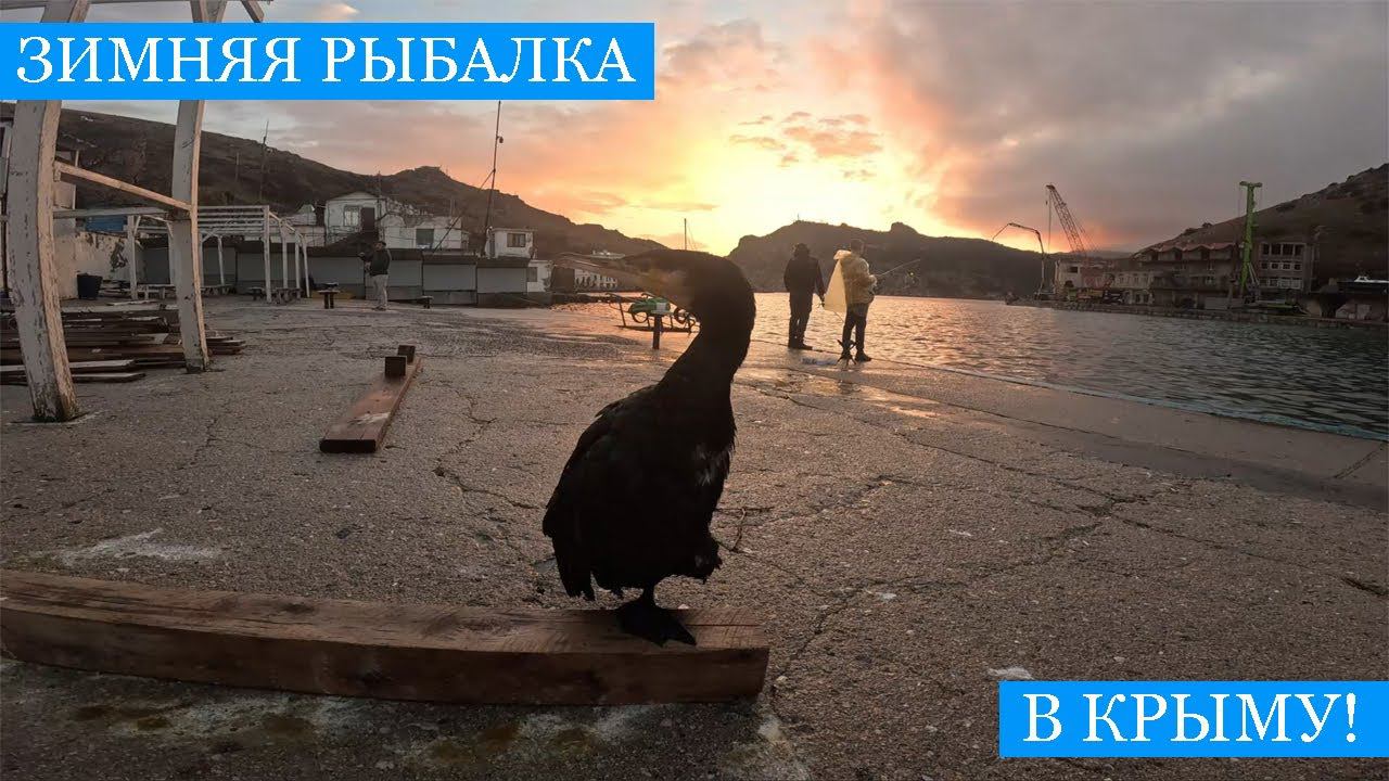 Зимняя рыбалка в КРЫМУ! Редкий снежный пейзаж, зимняя экипировка для рыбалки с каяка! С Новым Годом! смотреть онлайн