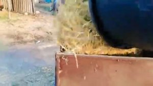 Измельчитель бензиновый сено, солома , овощи.