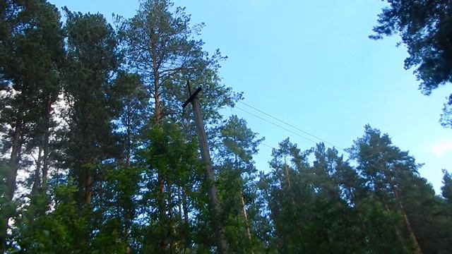 Откликается на свист смотреть онлайн