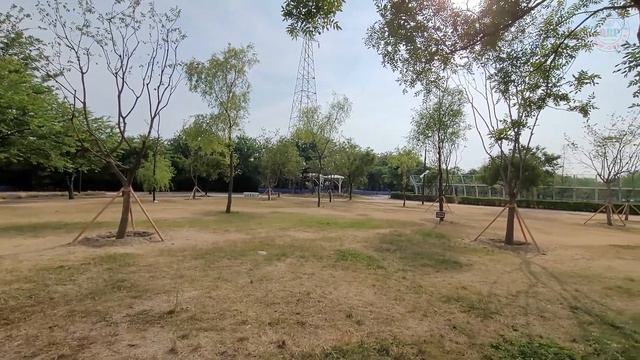 QRP 49:1 Balun, EFHW Ant.