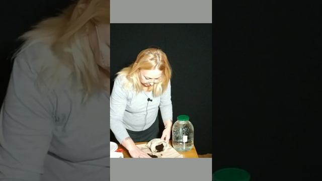 Распаковка пиявок. Пиявки в торфе. Храним пиявок в домашних условиях.