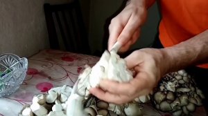 ВЫРАЩИВАЮ ГРИБЫ ИЗ НОЖЕК. Эксперимент с купленными вешенками.