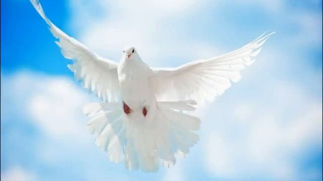 С праздником Святой Троецы вас дорогие друзья! и с днём Рожденья Церкви ! смотреть онлайн